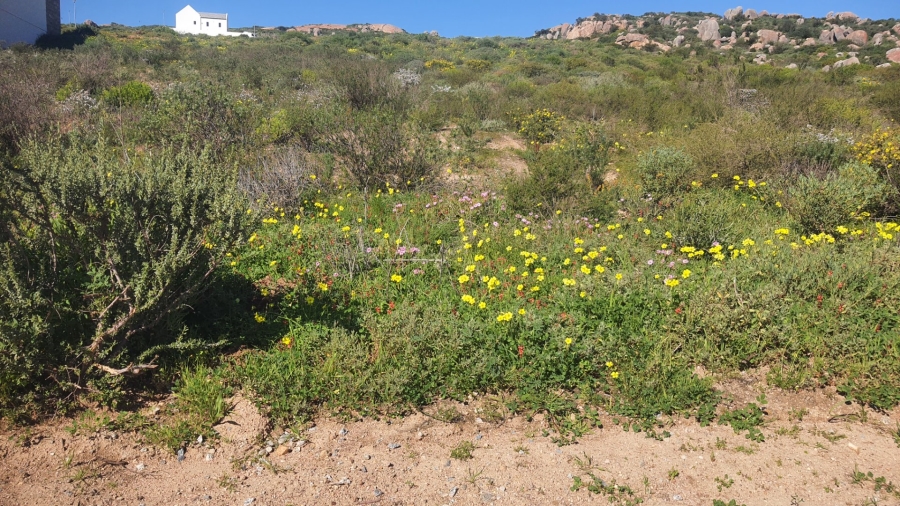  Bedroom Property for Sale in St Helena Views Western Cape